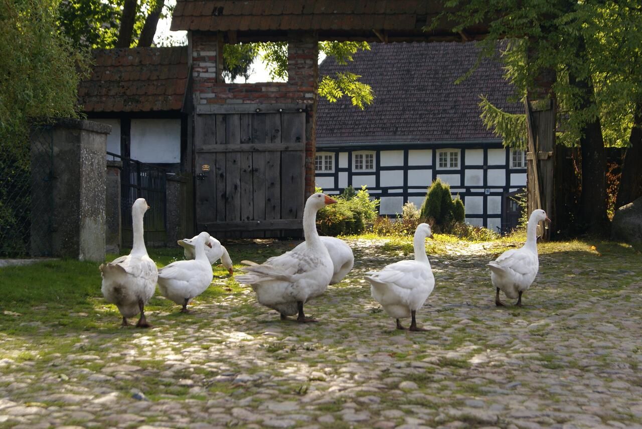 Гостевой дом Przystań Twórców Слупск-14